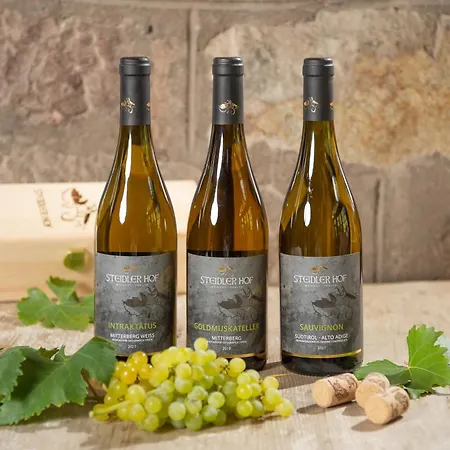 Vakantieboerderij Steidlerhof