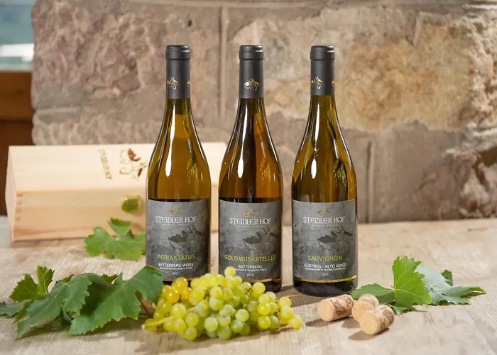 Agroturismo Steidlerhof