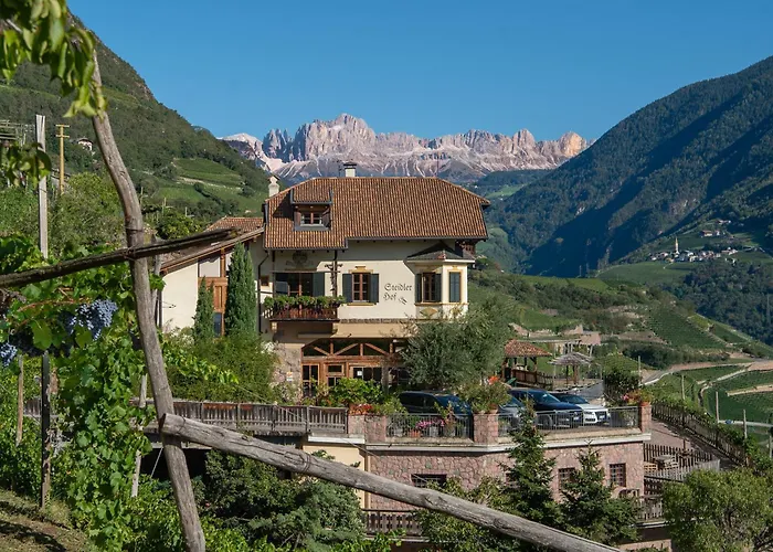 مزرعة للإقامة Steidlerhof *